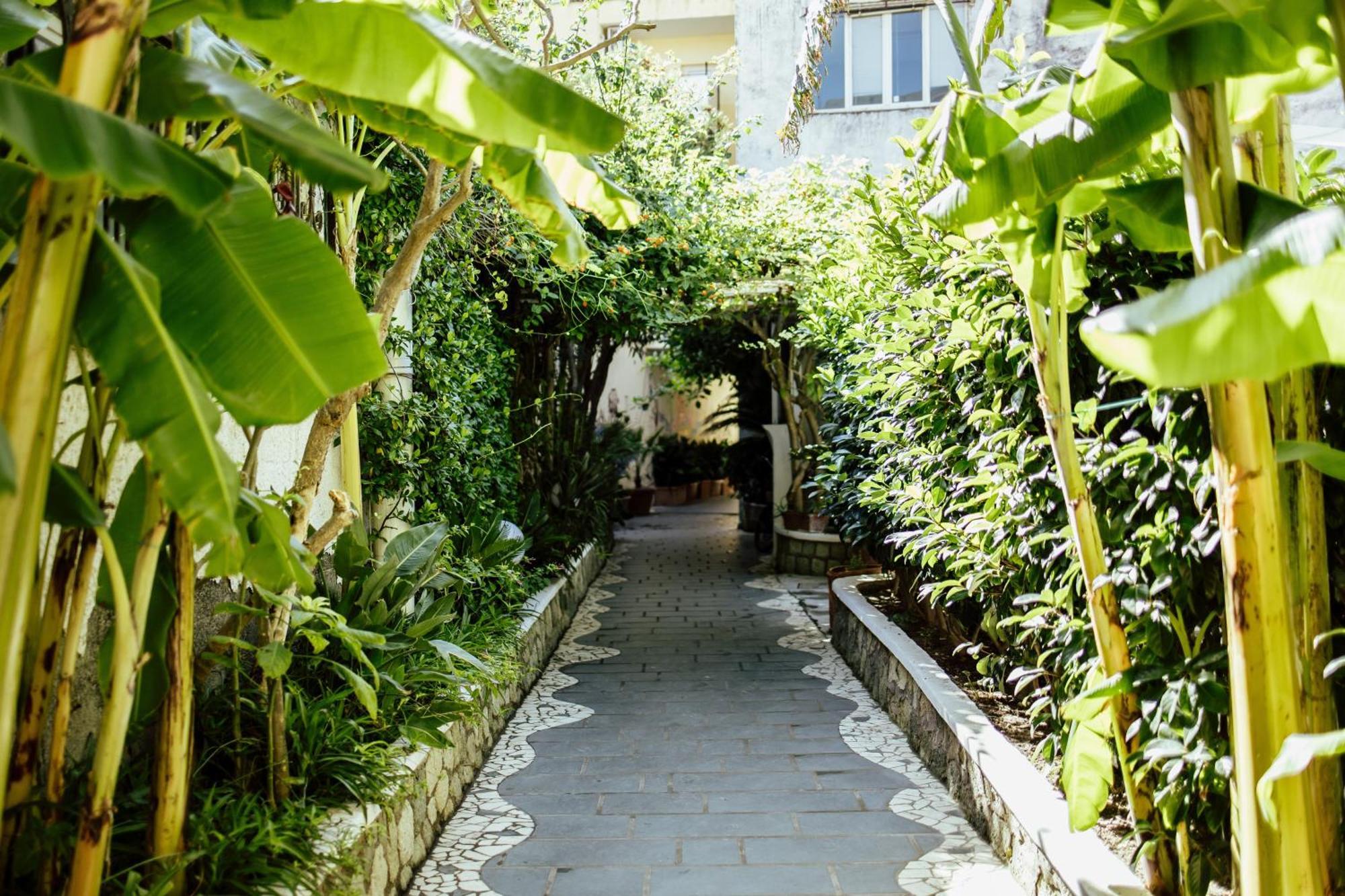 Hotel Terme Zi Carmela Forio di Ischia Esterno foto